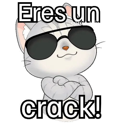 Gato frases para contestar🐈‍⬛💬