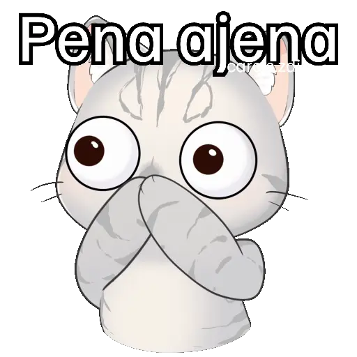 Gato frases para contestar🐈‍⬛💬