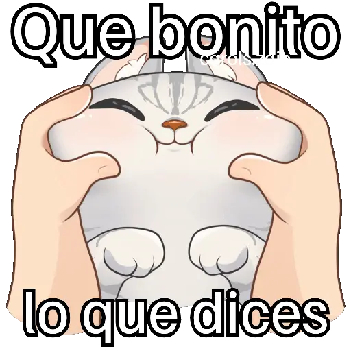 Gato frases para contestar🐈‍⬛💬