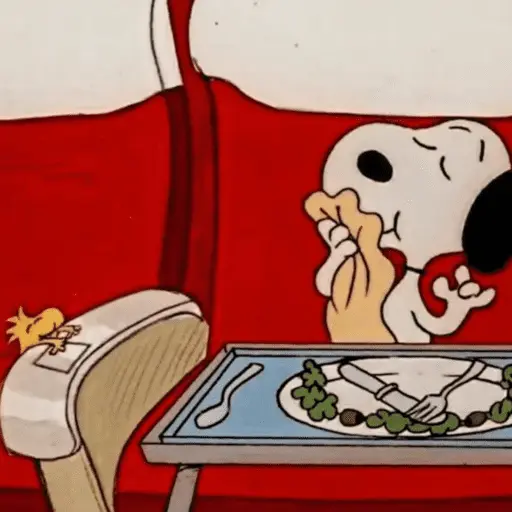 Snoopy Mood 🐶