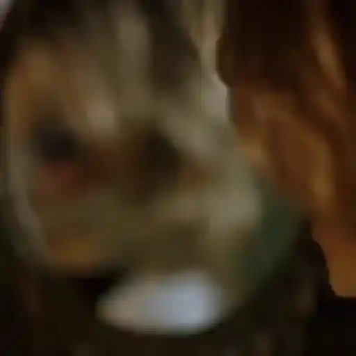 chucky childs play