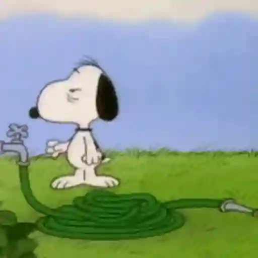 ✨ Snoopy Moods 🐶