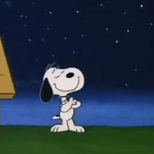 ✨ Snoopy Moods 🐶
