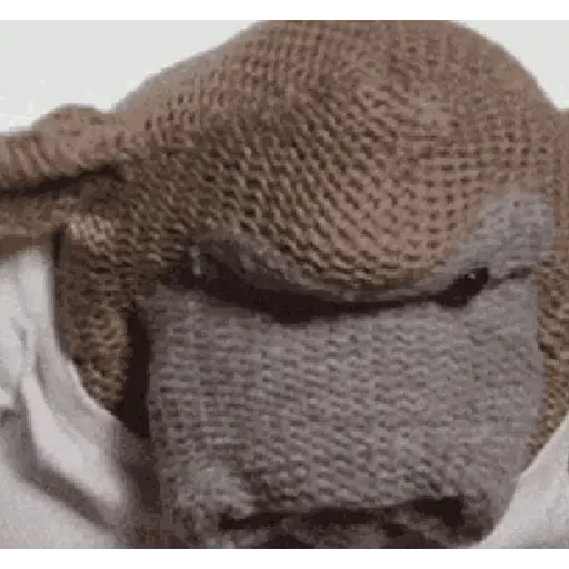 PG Tips Monkey Random🐵