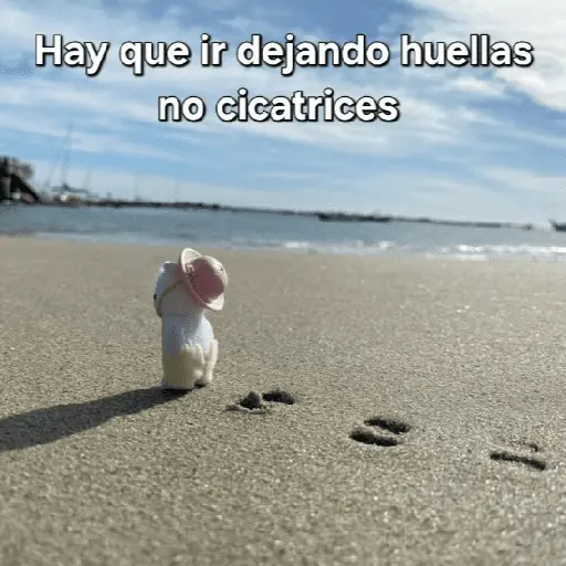 Ternurines pa tu vida 🐰🍓