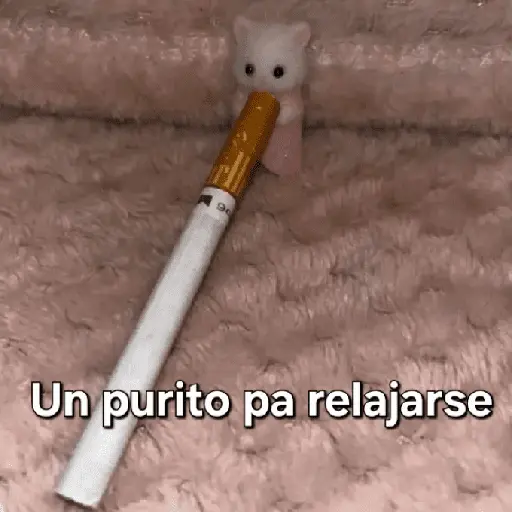 Ternurines pa tu vida 🐰🍓