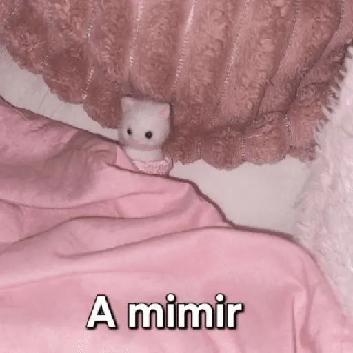 Ternurines pa tu vida 🐰🍓
