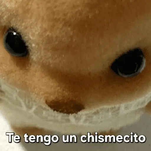 Ternurines pa tu vida 🐰🍓