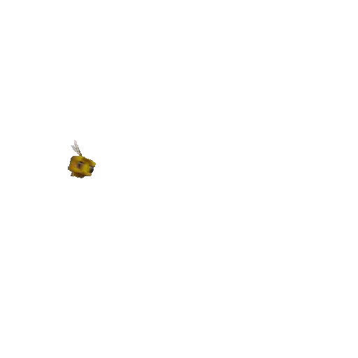 Minecraft 🤖