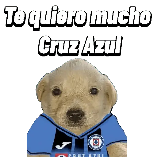 Cruz azul ⚽️