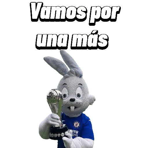 Cruz azul ⚽️