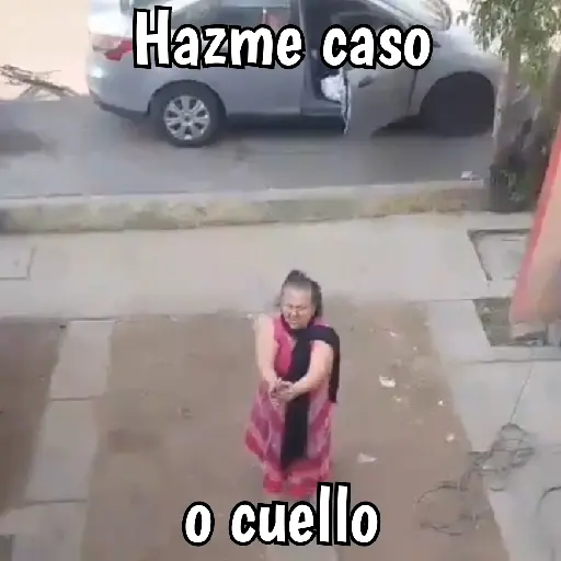 Abuelita sicaria 🔫 preview