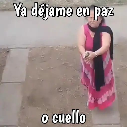 Abuelita sicaria 🔫