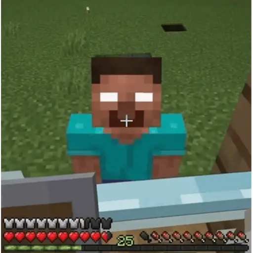 Minecraft GIFs