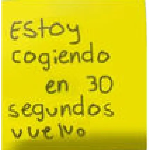 frases pal chat
