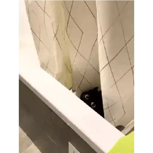 Cariñositos Bonitos 😻😻