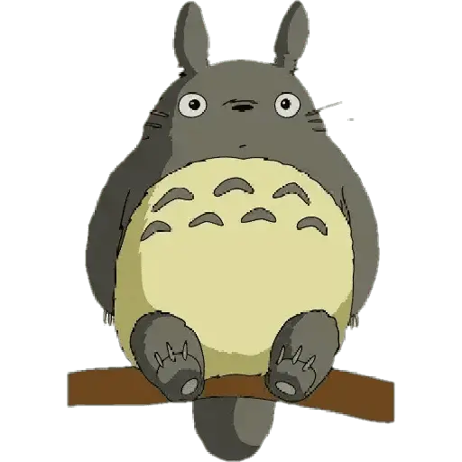 Studio Ghibli Totoro Random ⚫