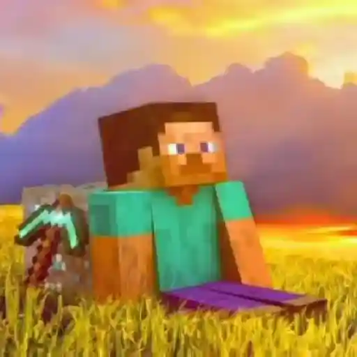 El mundo de Minecraft 🏡⚒️
