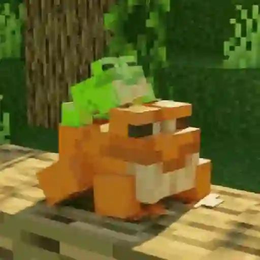 El mundo de Minecraft 🏡⚒️