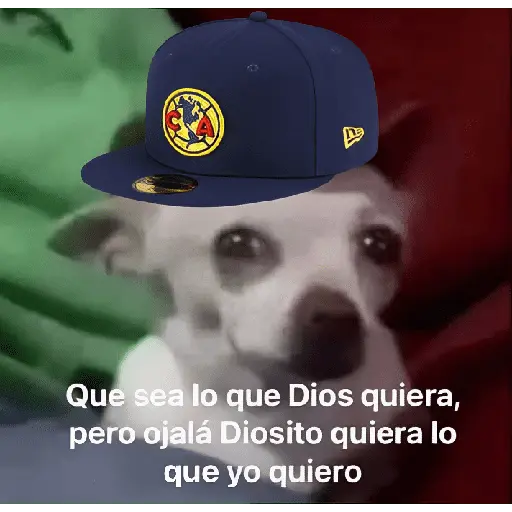 America vs cruz azul memes 🔥