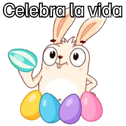 🐰 Conejo de pascua 🐇🥕🥚 preview