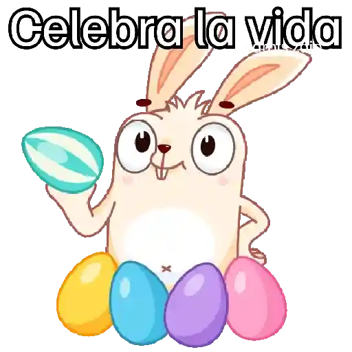 🐰 Conejo de pascua 🐇🥕🥚