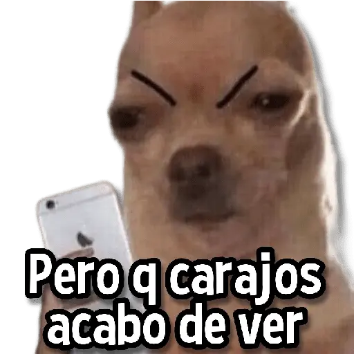 Memes Pal Grupo🗣️