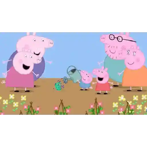 🐽 Peppa Pig ყ ϝαɱ 🐷🐖