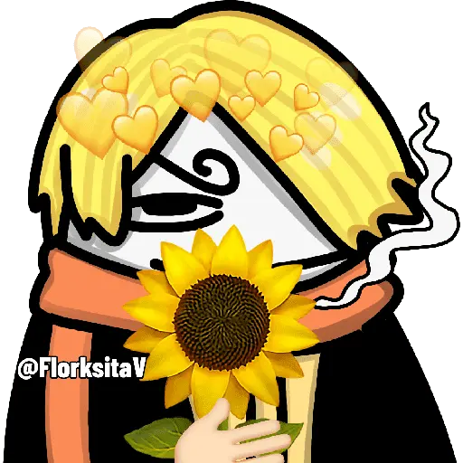 one piece Flork ☠️😍🩷✨