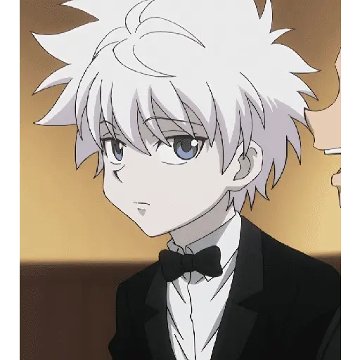 Killua/anime 