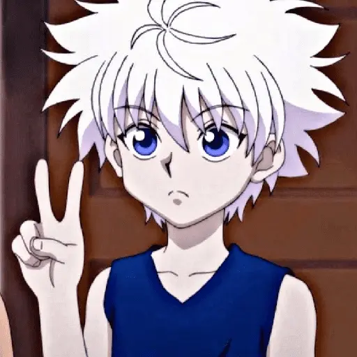 Killua/anime 