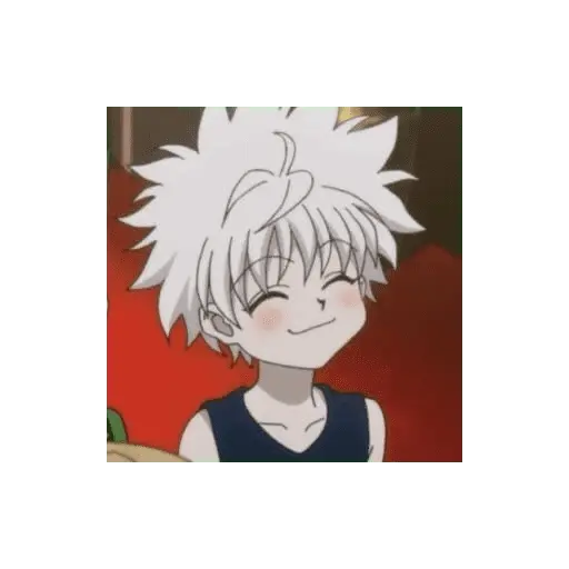 Killua/anime 