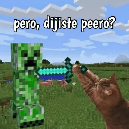 Minecraft random 👾