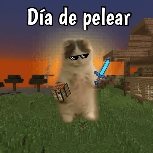 Minecraft random 👾