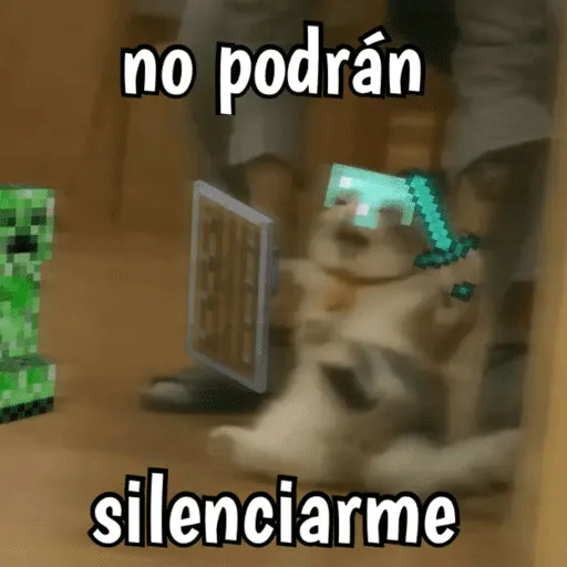 Minecraft random 👾