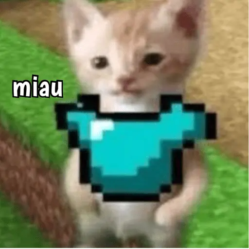 Minecraft random 👾