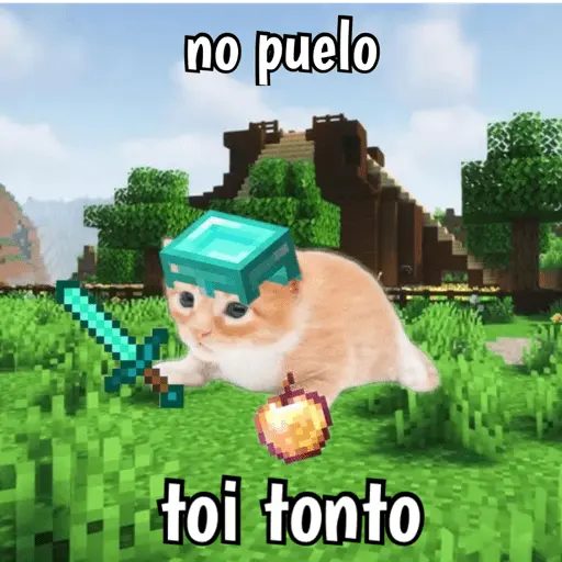 Minecraft random 👾