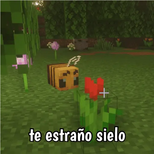 Minecraft random 👾