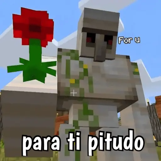 Minecraft random 👾