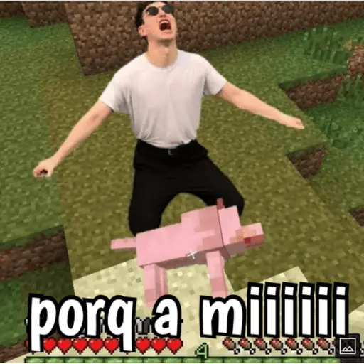 Minecraft random 👾