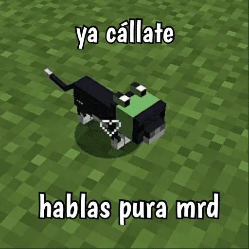 Minecraft random 👾