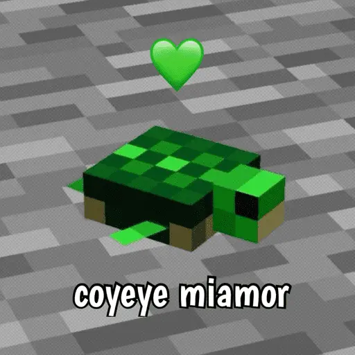 Minecraft random 👾