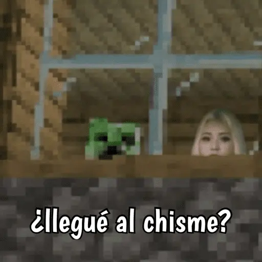 Minecraft random 👾