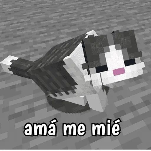 Minecraft random 👾
