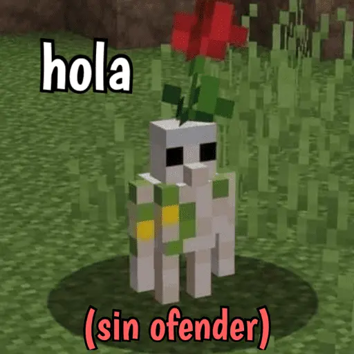 Minecraft random 👾