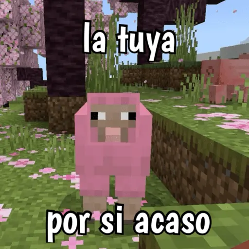 Minecraft random 👾