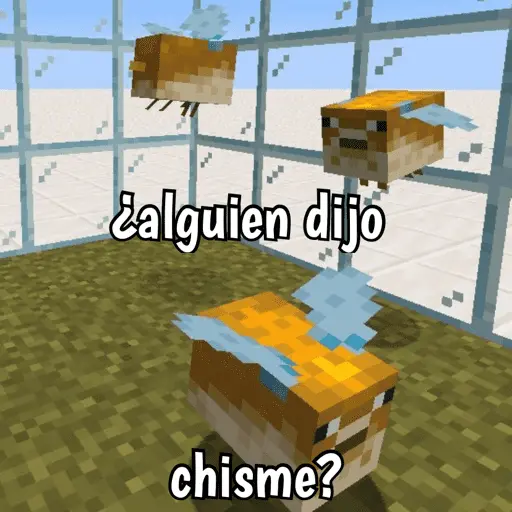 Minecraft random 👾