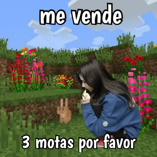 Minecraft random 👾