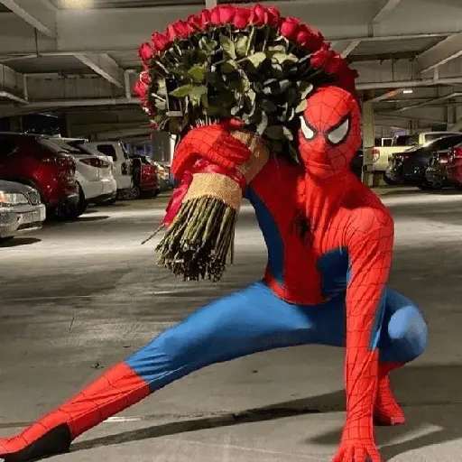 Memes homem aranha