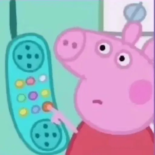 🐽 PEPPA PIG 🐽